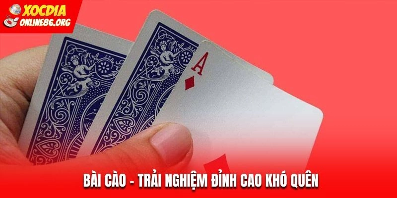 Bài Cào – Trải Nghiệm Đỉnh Cao Khó Quên Tại Nhà Cái