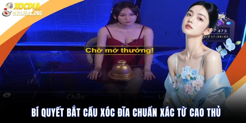 bi quyet bat cau xoc dia chuan xac tu cao thu Bí quyết bắt cầu xóc đĩa chuẩn xác từ cao thủ