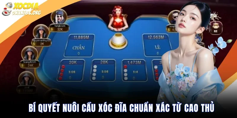 bi quyet nuoi cau xoc dia chuan xac tu cao thu Bí quyết nuôi cầu xóc đĩa chuẩn xác từ cao thủ