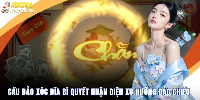 cau dao xoc dia bi quyet nhan dien xu huong dao chieu Cầu Đảo Xóc Đĩa Bí Quyết Nhận Diện Xu Hướng Đảo Chiều