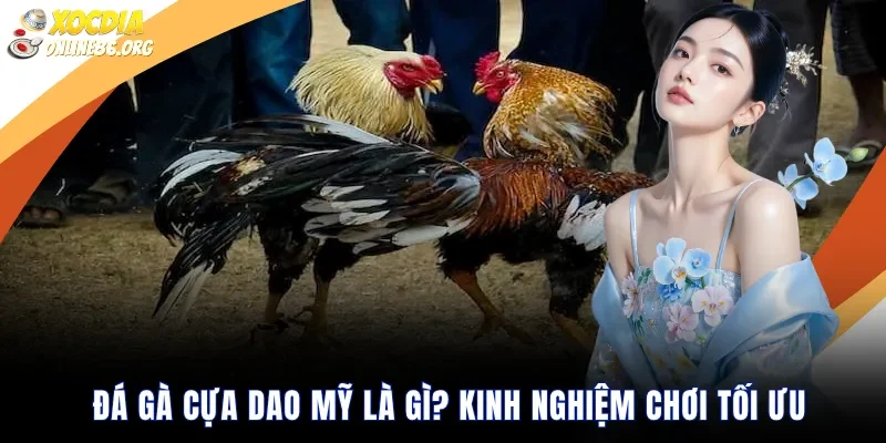 da ga cua dao my la gi kinh nghiem choi toi uu Đá gà cựa dao Mỹ là gì? Kinh nghiệm chơi tối ưu trong 2026