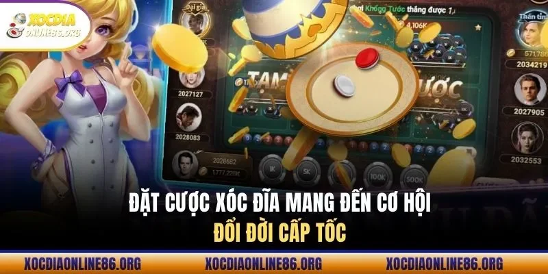 dat cuoc xoc dia mang den co hoi doi doi cap toc Đặt cược xóc đĩa mang đến cơ hội đổi đời cấp tốc