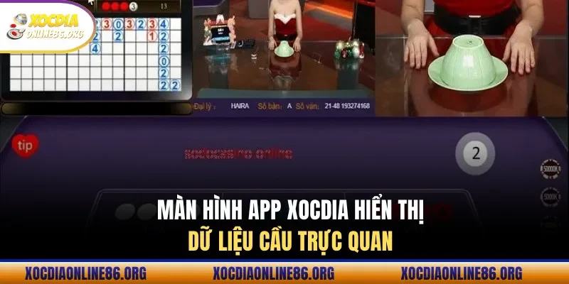 man hinh app xocdia hien thi du lieu cau truc quan Màn hình app xocdia hiển thị dữ liệu cầu trực quan