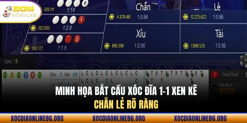minh hoa bat cau xoc dia 1 1 xen ke chan le ro rang Minh họa bắt cầu xóc đĩa 1-1 xen kẽ chẵn lẻ rõ ràng