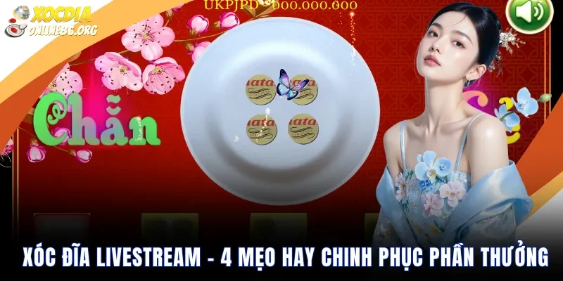 xoc dia livestream 4 meo hay chinh phuc phan thuong Xóc Đĩa Livestream – 4 Mẹo Hay Chinh Phục Phần Thưởng