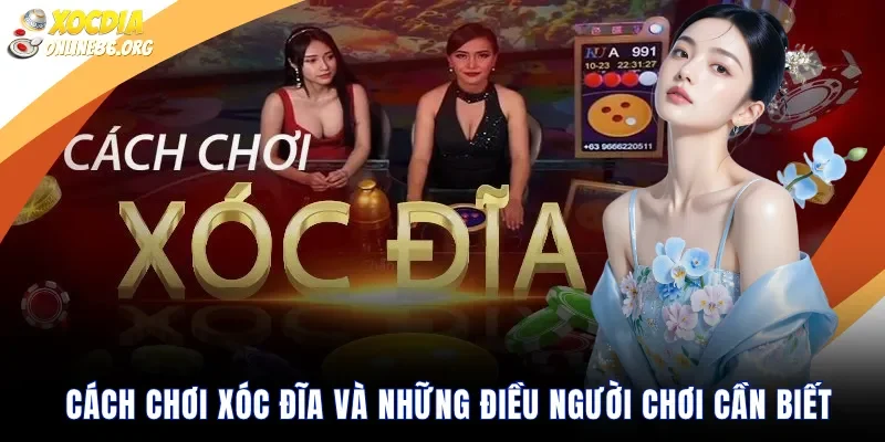 cach choi xoc dia va nhung dieu nguoi choi can biet Cách Chơi Xóc Đĩa Và Những Điều Người Chơi Cần Biết