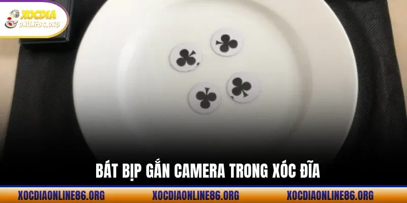 bat bip gan camera trong xoc dia Bát Bịp Gắn Camera Trong Xóc Đĩa