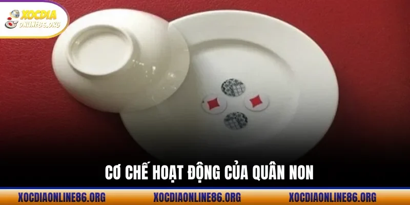 co che hoat dong cua quan non Cơ Chế Hoạt Động Của Quân Non