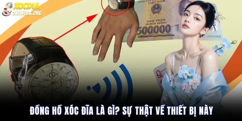 dong ho xoc dia la gi su that ve thiet bi nay Đồng Hồ Xóc Đĩa Là Gì? Sự Thật Về Thiết Bị Này