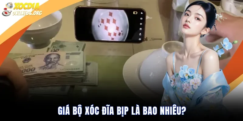 gia bo xoc dia bip la bao nhieu Giá Bộ Xóc Đĩa Bịp Là Bao Nhiêu?