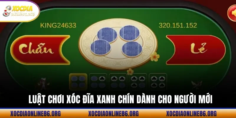 luat choi xoc dia xanh chin danh cho nguoi moi Luật chơi xóc đĩa xanh chín dành cho người mới