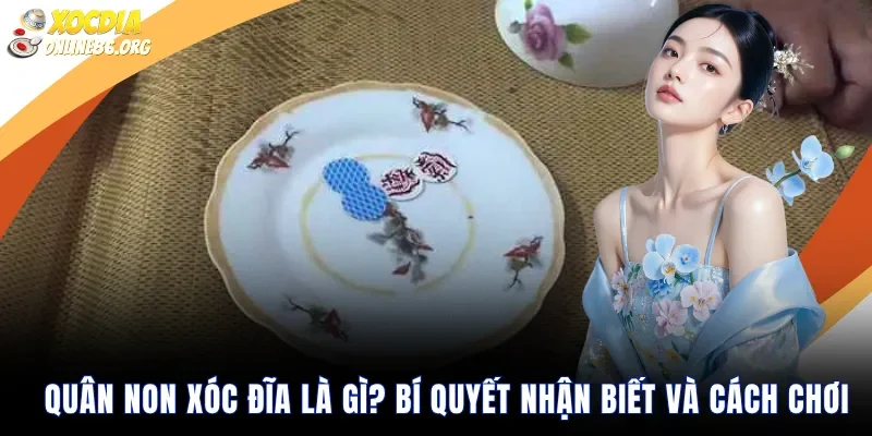 quan non xoc dia la gi bi quyet nhan biet va cach choi Quân Non Xóc Đĩa Là Gì? Bí Quyết Nhận Biết Và Cách Chơi