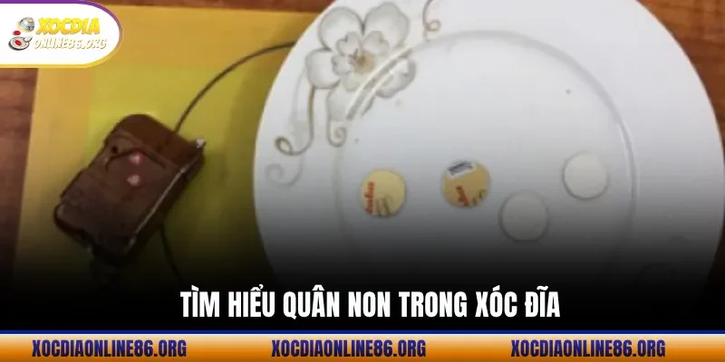 tim hieu quan non trong xoc dia Tìm Hiểu Quân Non Trong Xóc Đĩa