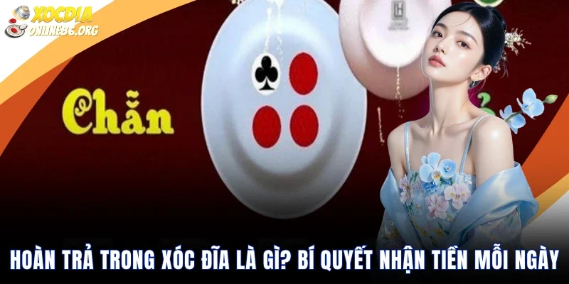 hoan tra trong xoc dia la gi bi quyet nhan tien moi ngay Hoàn Trả Trong Xóc Đĩa Là Gì? Bí Quyết Nhận Tiền Mỗi Ngày