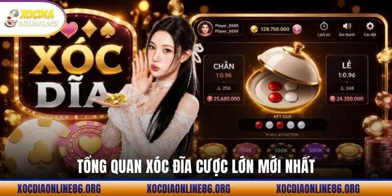 tong quan xoc dia cuoc lon moi nhat Tổng quan xóc đĩa cược lớn mới nhất