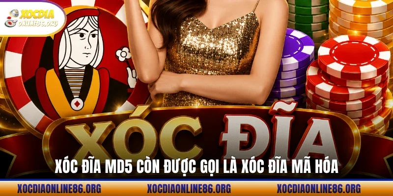 xoc dia md5 con duoc goi la xoc dia ma hoa Xóc đĩa MD5 còn được gọi là xóc đĩa mã hóa